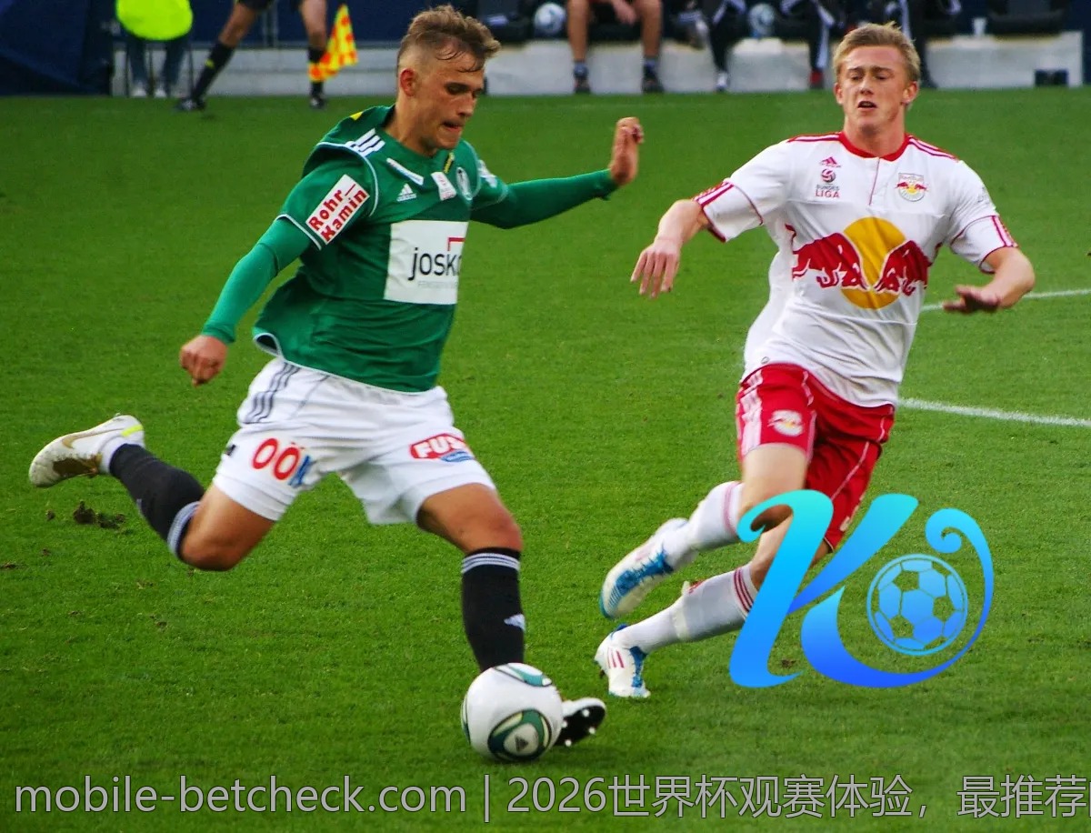 2026世界杯观赛体验，最推荐的投注方式是什么？