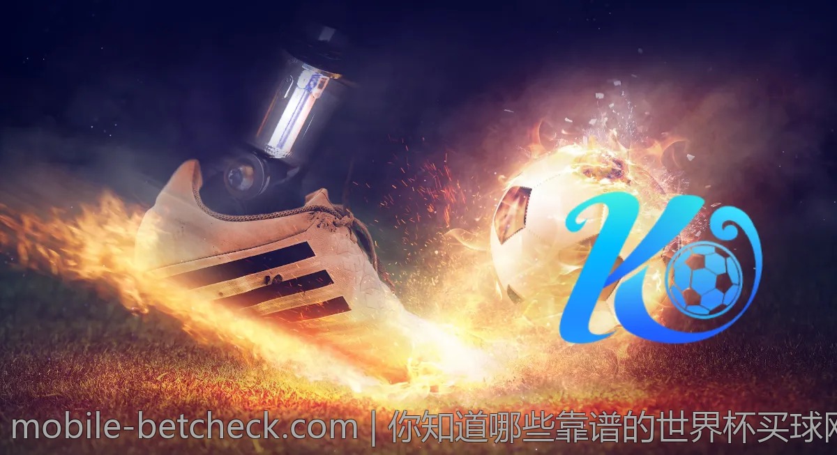 你知道哪些靠谱的世界杯买球网站吗？