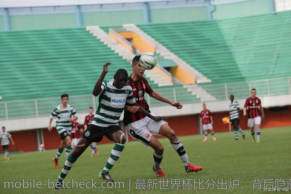 最新世界杯比分出炉，背后隐藏的精彩故事！