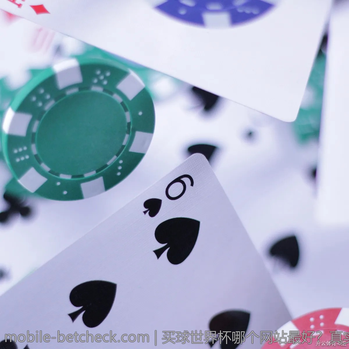 买球世界杯哪个网站最好？真实用户体验大测评