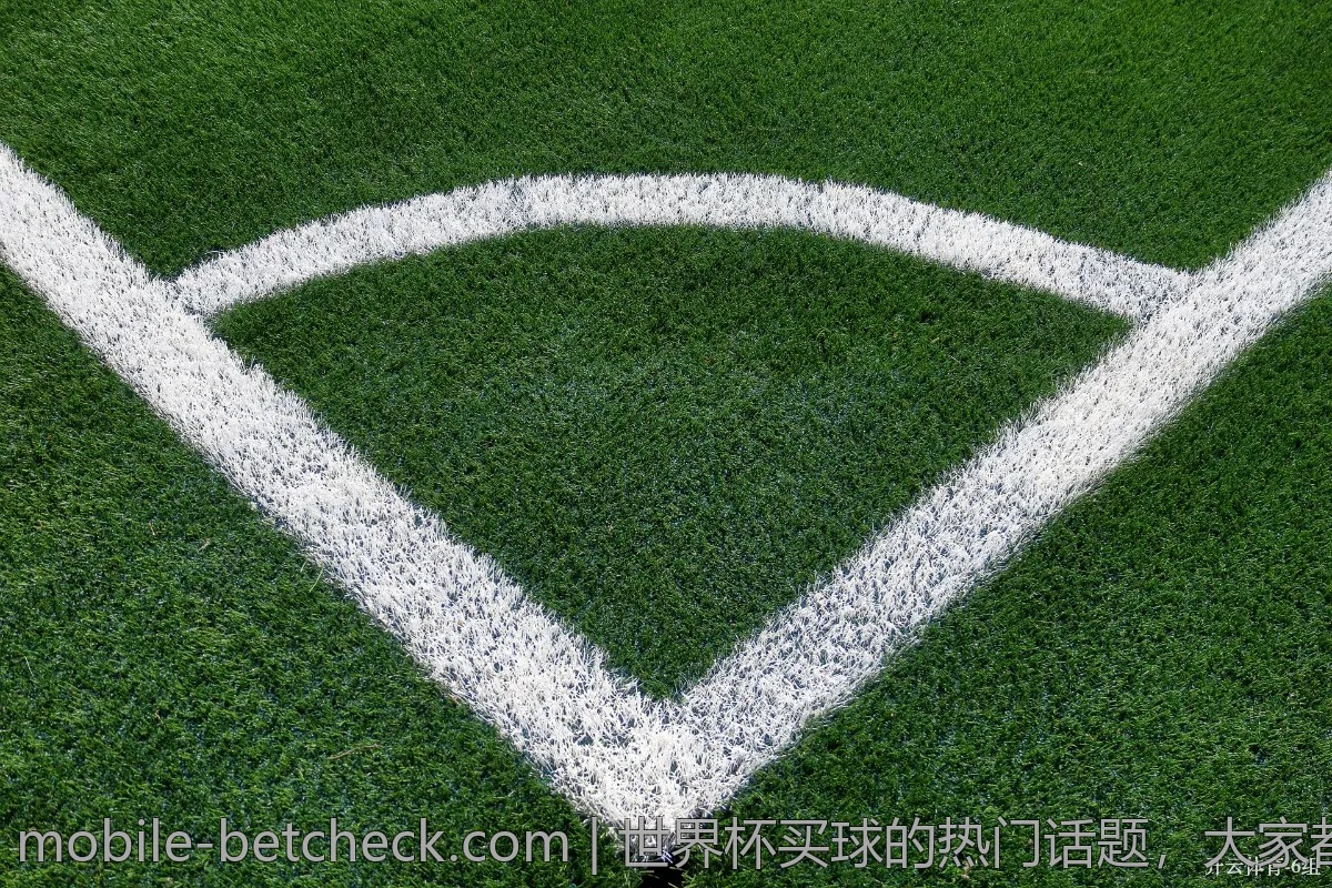 世界杯买球的热门话题，大家都在讨论什么？