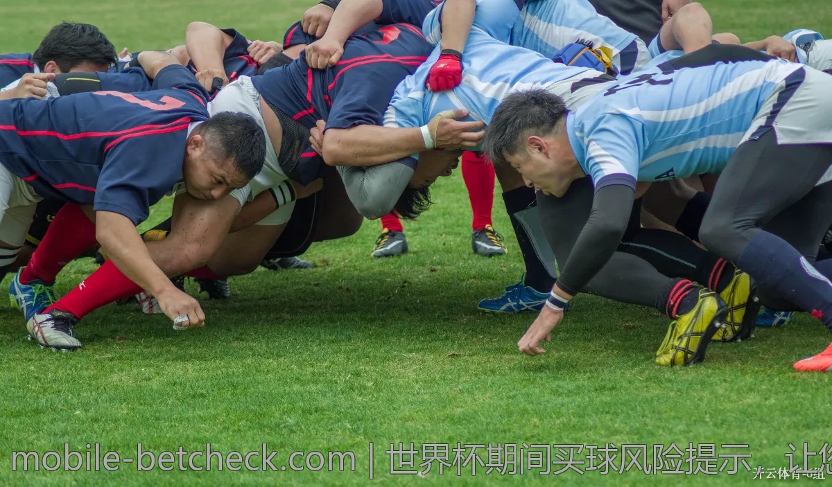 2026年最火的世界杯买球网站都在这里！