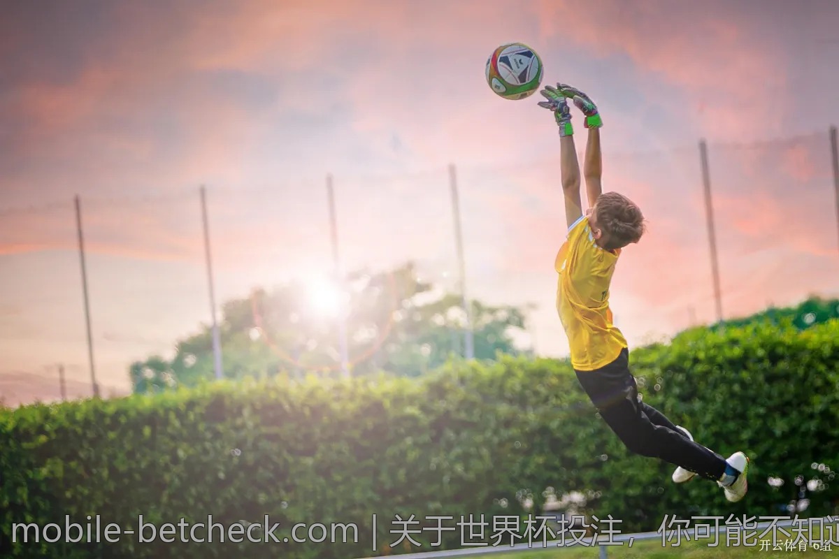 关于世界杯投注，你可能不知道的事实