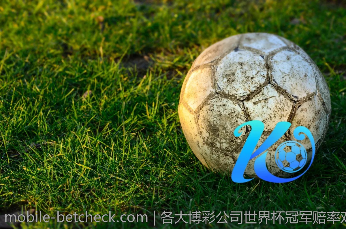 各大博彩公司世界杯冠军赔率对比评测