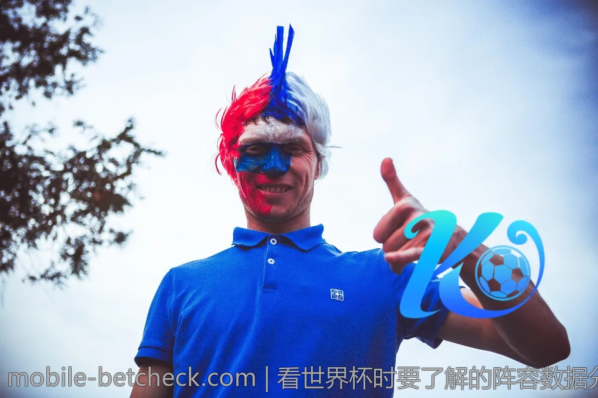 看世界杯时要了解的阵容数据分析